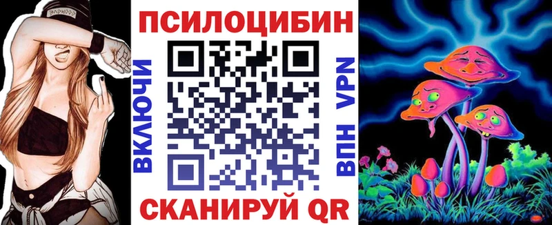 Псилоцибиновые грибы Cubensis  где купить наркотик  Заозёрск 