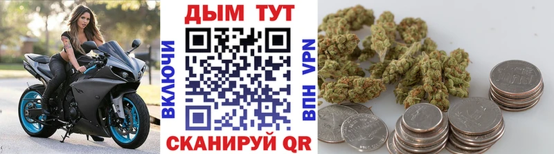 сколько стоит  Заозёрск  Бошки марихуана White Widow 